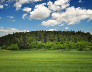 landscape in the Czech Republic