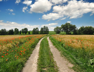 landscape in the Czech Republic