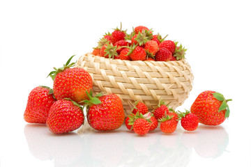 garden strawberry and wild strawberry on a white background