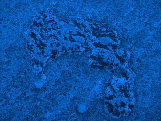 Hintergrund Abstrakt Unterwasser