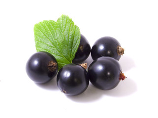 currant
