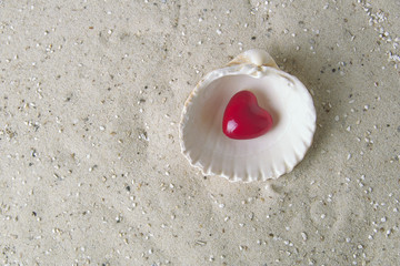 Ein rotes Herz in einer Muschel auf feinem Sand