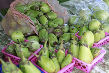 beautiful green eggplants