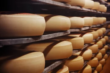  Photo of a cheese factory © barelko.com