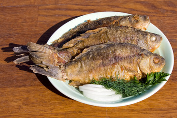 Fried fish crucian in plate