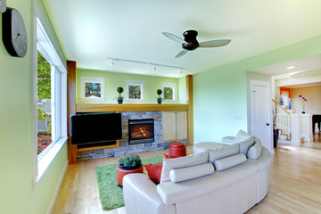 Green living room with black TV and beige sofa.