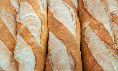 Group of Baguette