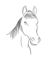 Horse lined drawing