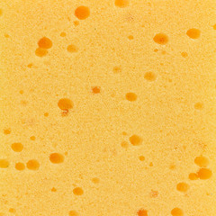 Kitchen sponge isolated