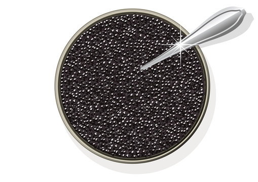 CAVIAR_Boite cuillere
