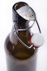 sprat is hanging out of a beer bottle