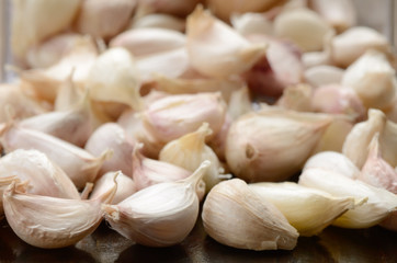 Garlic