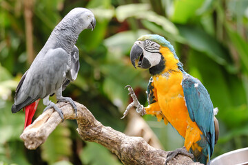 Kampfansage © weekender120