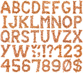 Hazelnut Alphabet Cutout