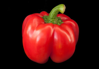 Red paprika on black background.
