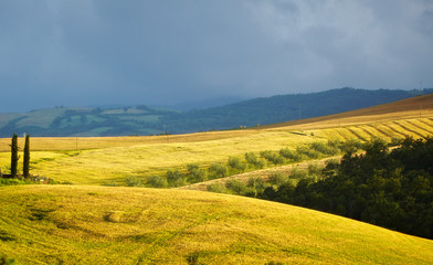 Tuscany landscape in spring