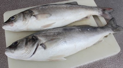Sea bass