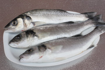 Sea bass