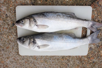 Sea bass