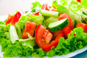 vegetable salad on plate