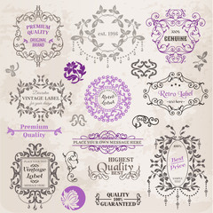 Vector Set: Calligraphic Design Elements and Page Decoration, Vi
