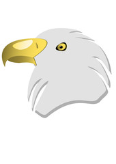 Vector eagle's head