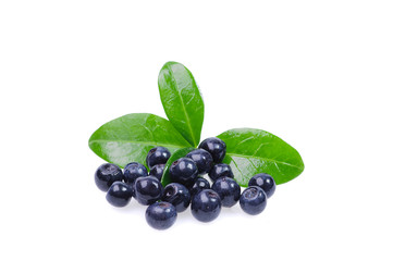 berry