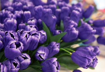 purple tulip flowers arranged for decorated in house