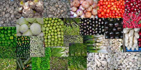 Vegetables colorful Collection