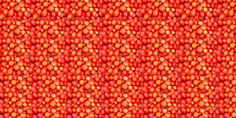 Tomatoes texture with massive number of it