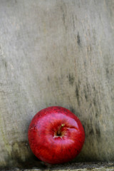 Apfel