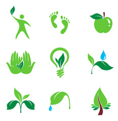 set of nature and orgaic vector icons