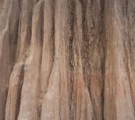 Soil structure
