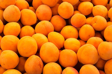 Real organic apricots