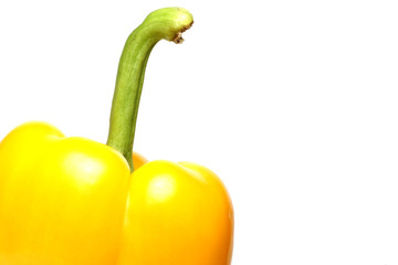 Gelbe Paprika
