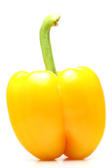 Paprika gelb