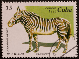 Fototapeta na wymiar francobollo Kuba