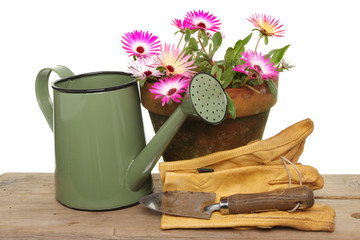 Daisy flowers and watering can
