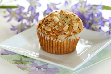 Lemon Poppyseed Muffin