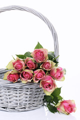 Fototapeta na wymiar pink roses in Basket