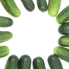 Frame made of cucumbers