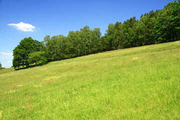 Landschaft in Sachsen