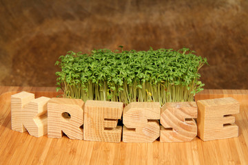 Kresse