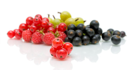 red currants on the background of a heap of ripe berries