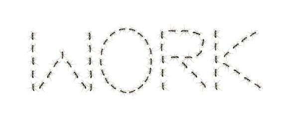 alphabet letters spelled by ant in line