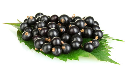 Fresh black currant isolated on white