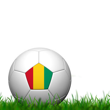 3D Soccer balll Guinea Flag Patter on green grass over white bac