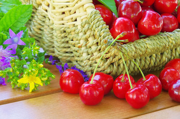 Kirschen im Korb - cherries in basket 02