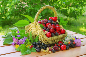 Beeren im Korb - berries in basket 01