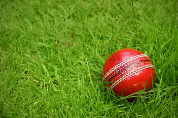 cricket ball on green grass pitch